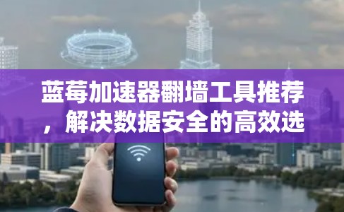 蓝莓加速器翻墙工具推荐，解决数据安全的高效选择