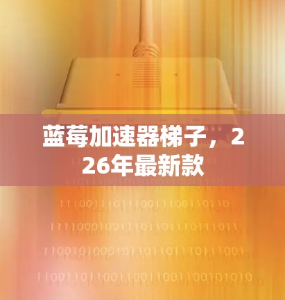 蓝莓加速器梯子，226年最新款