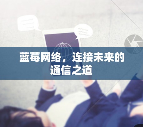蓝莓网络，连接未来的通信之道