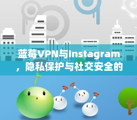 蓝莓VPN与Instagram，隐私保护与社交安全的完美结合