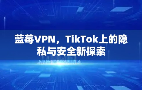 蓝莓VPN，TikTok上的隐私与安全新探索