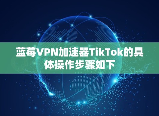 蓝莓VPN加速器TikTok的具体操作步骤如下