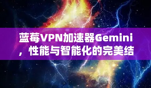 蓝莓VPN加速器Gemini，性能与智能化的完美结合