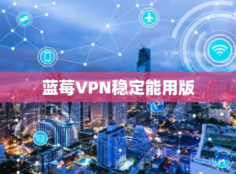 蓝莓VPN稳定能用版