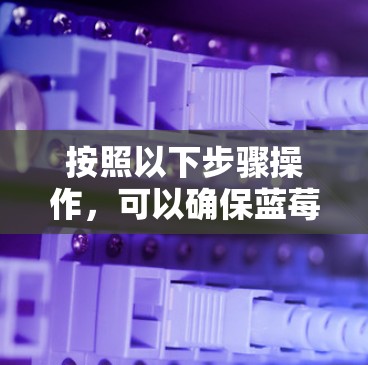 按照以下步骤操作，可以确保蓝莓加速器稳定运行