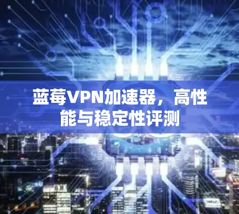 蓝莓VPN加速器，高性能与稳定性评测