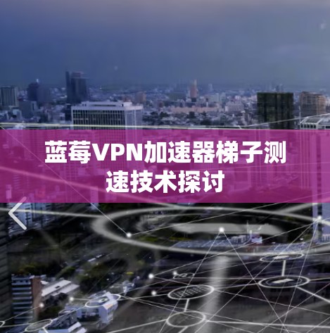 蓝莓VPN加速器梯子测速技术探讨