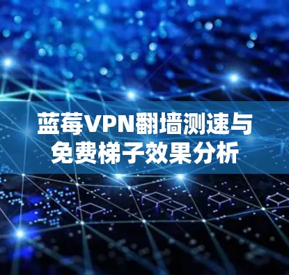 蓝莓VPN翻墙测速与免费梯子效果分析
