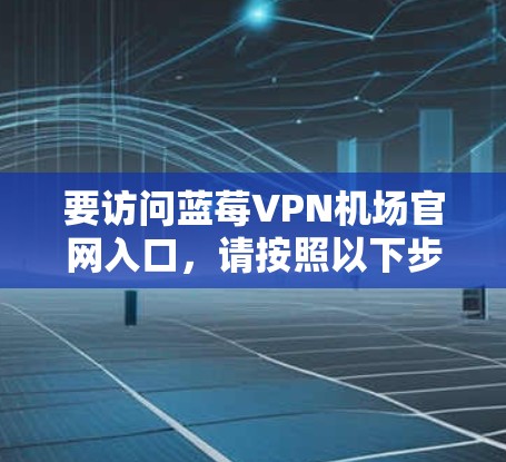 要访问蓝莓VPN机场官网入口，请按照以下步骤操作