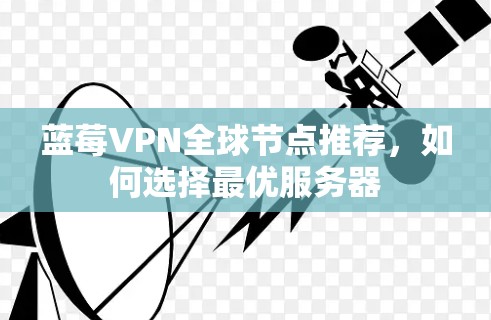 蓝莓VPN全球节点推荐，如何选择最优服务器