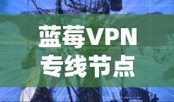 蓝莓VPN专线节点技术解析