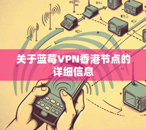 关于蓝莓VPN香港节点的详细信息