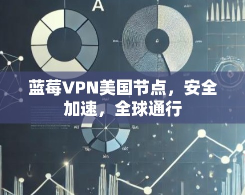 蓝莓VPN美国节点，安全加速，全球通行