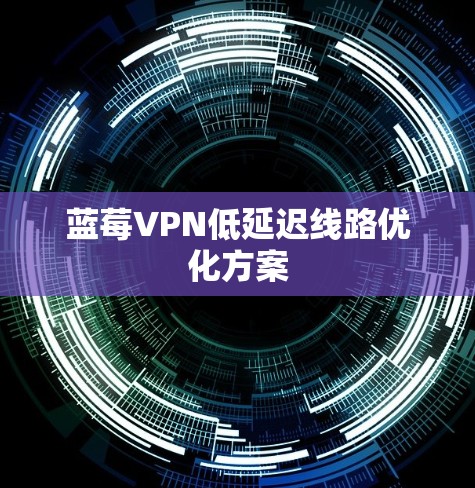 蓝莓VPN低延迟线路优化方案