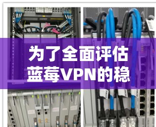为了全面评估蓝莓VPN的稳定线路，可以从以下几个方面进行分析
