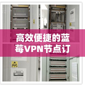 高效便捷的蓝莓VPN节点订阅服务