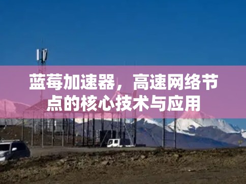 蓝莓加速器，高速网络节点的核心技术与应用