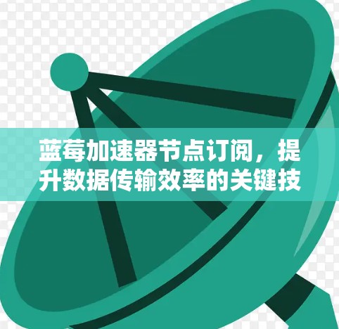 蓝莓加速器节点订阅，提升数据传输效率的关键技术
