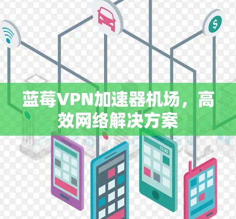 蓝莓VPN加速器机场，高效网络解决方案