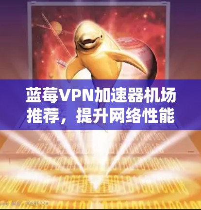 蓝莓VPN加速器机场推荐，提升网络性能的实用指南
