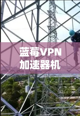 蓝莓VPN加速器机场节点可能是指使用蓝莓VPN服务的机场节点配置方法。如果你是想了解如何在机场设置一个VPN加速器节点，以下是一些可能的步骤和信息