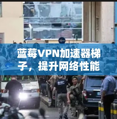 蓝莓VPN加速器梯子，提升网络性能的高效解决方案