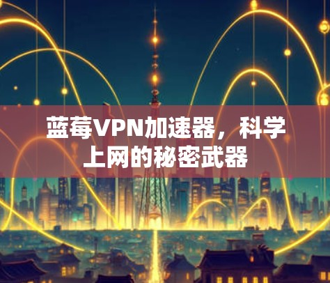 蓝莓VPN加速器，科学上网的秘密武器