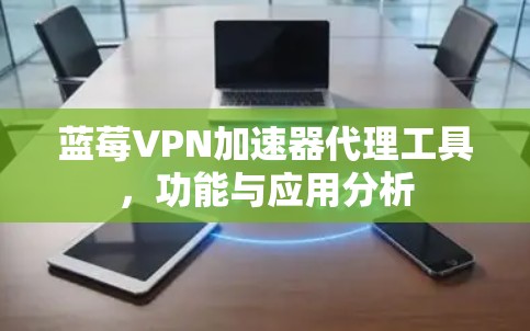蓝莓VPN加速器代理工具，功能与应用分析