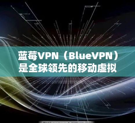 蓝莓VPN（BlueVPN）是全球领先的移动虚拟专用网络（VPN）服务提供商，专注于为用户提供安全、高速、稳定的网络连接服务。以下是关于蓝莓VPN安卓客户端的详细信息