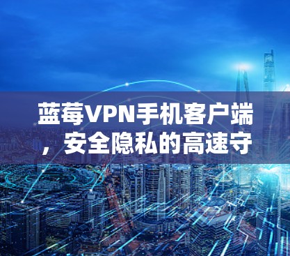 蓝莓VPN手机客户端，安全隐私的高速守护者