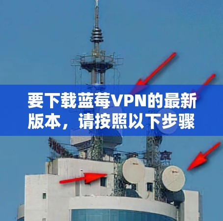 要下载蓝莓VPN的最新版本，请按照以下步骤操作