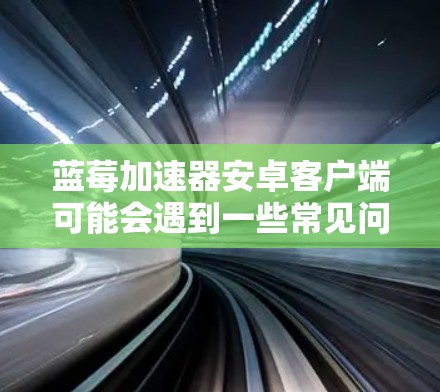 蓝莓加速器安卓客户端可能会遇到一些常见问题，以下是一些可能的解决方法
