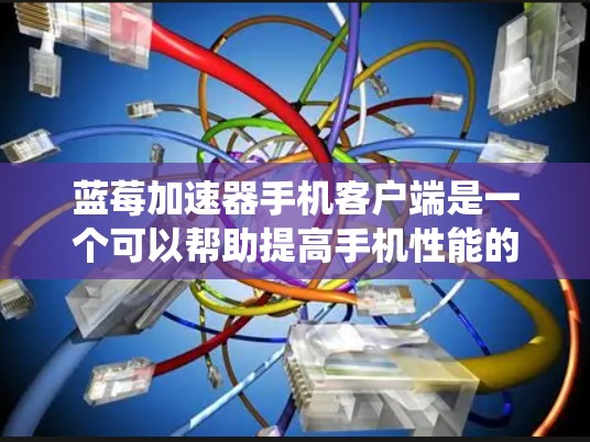 蓝莓加速器手机客户端是一个可以帮助提高手机性能的软件工具，通过优化系统配置来提升处理速度和多任务处理能力。以下是对该客户端的详细分析和建议