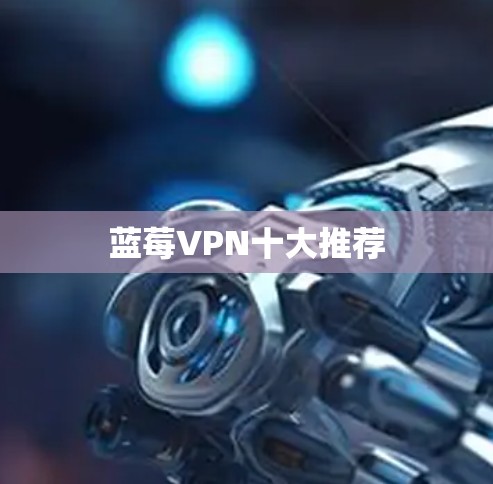 蓝莓VPN十大推荐