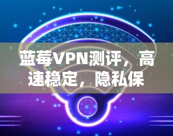 蓝莓VPN测评，高速稳定，隐私保护出色