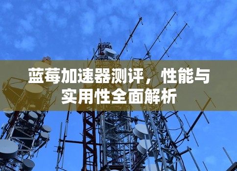 蓝莓加速器测评，性能与实用性全面解析