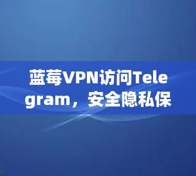 蓝莓VPN访问Telegram，安全隐私保护与技术实现