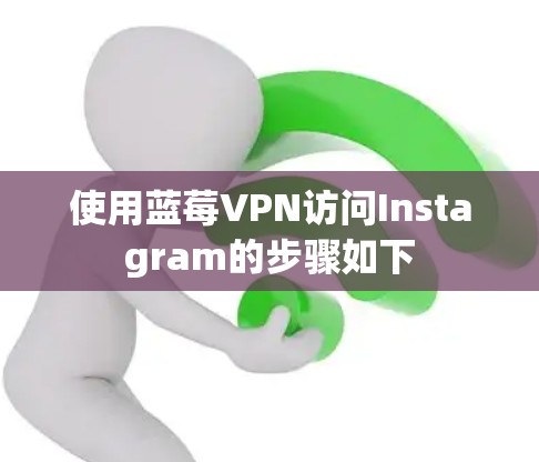 使用蓝莓VPN访问Instagram的步骤如下