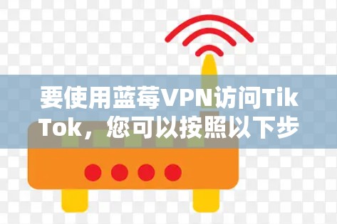 要使用蓝莓VPN访问TikTok，您可以按照以下步骤操作