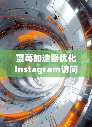 蓝莓加速器优化Instagram访问效率