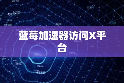 蓝莓加速器访问X平台
