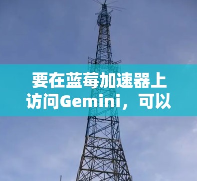 要在蓝莓加速器上访问Gemini，可以按照以下步骤操作