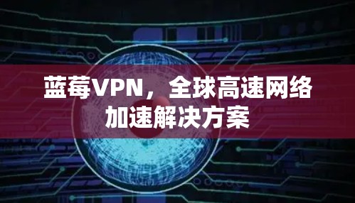 蓝莓VPN，全球高速网络加速解决方案