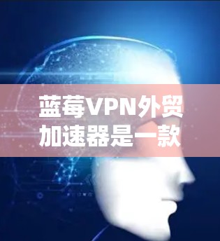 蓝莓VPN外贸加速器是一款专为企业设计的工具，旨在优化外贸流程，加速国际业务。以下是对该工具的详细分析和总结