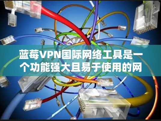 蓝莓VPN国际网络工具是一个功能强大且易于使用的网络安全解决方案，适合需要保护隐私和安全，或者访问受限内容的用户。以下是对其的详细分析和总结