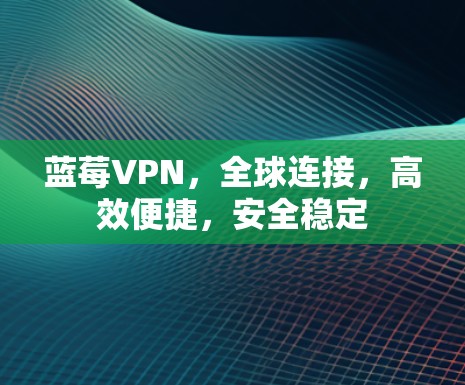 蓝莓VPN，全球连接，高效便捷，安全稳定