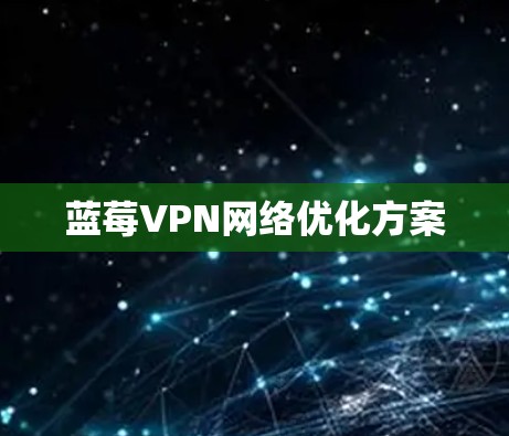蓝莓VPN网络优化方案