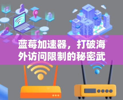 蓝莓加速器，打破海外访问限制的秘密武器