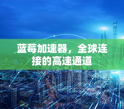蓝莓加速器，全球连接的高速通道
