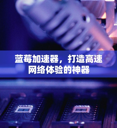 蓝莓加速器，打造高速网络体验的神器